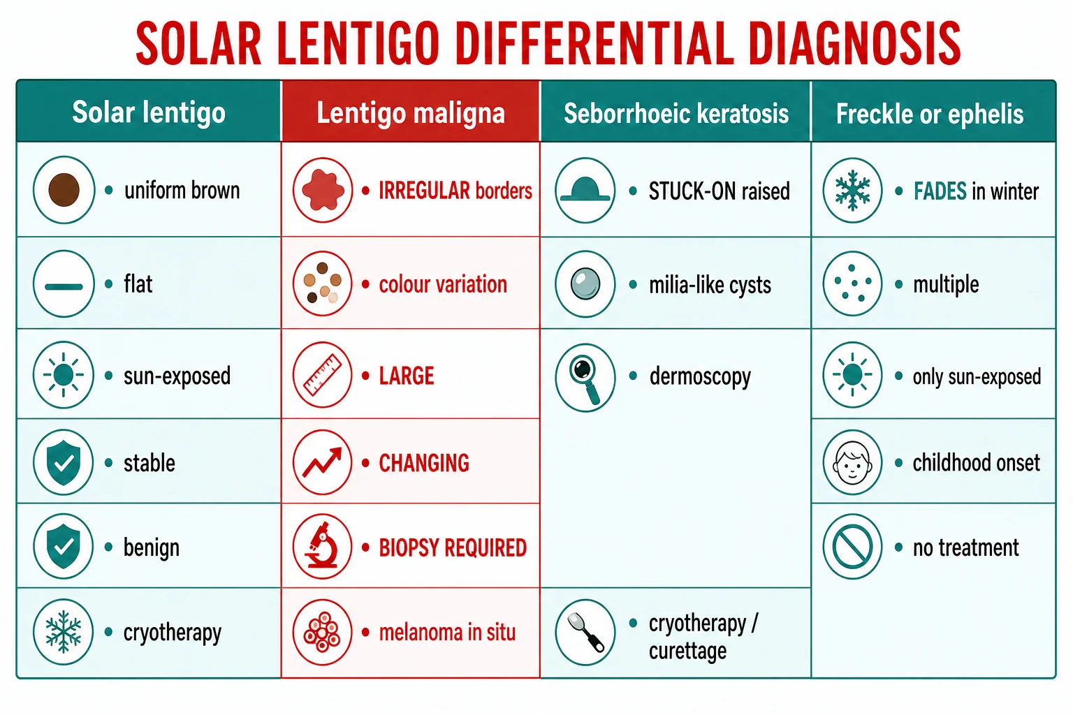 Four diagnostic columns: solar lentigo, lentigo maligna, seborrhoeic keratosis, freckle/ephelis with key features for distinguishing each