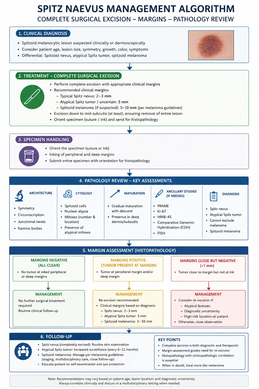 Spitz naevus management algorithm showing clinical diagnosis, complete surgical excision, specimen handling, pathology review, margin assessment, and follow-up