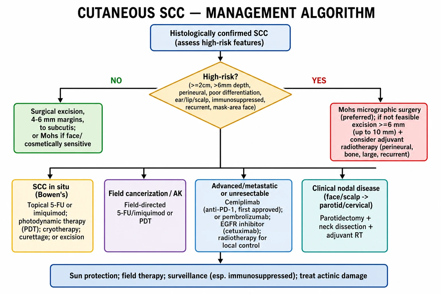 SCC management algorithm: excision 4-6 mm for low-risk, Mohs micrographic surgery for high-risk, topical/PDT for in situ, parotidectomy and neck dissection for nodal disease, cemiplimab for advanced