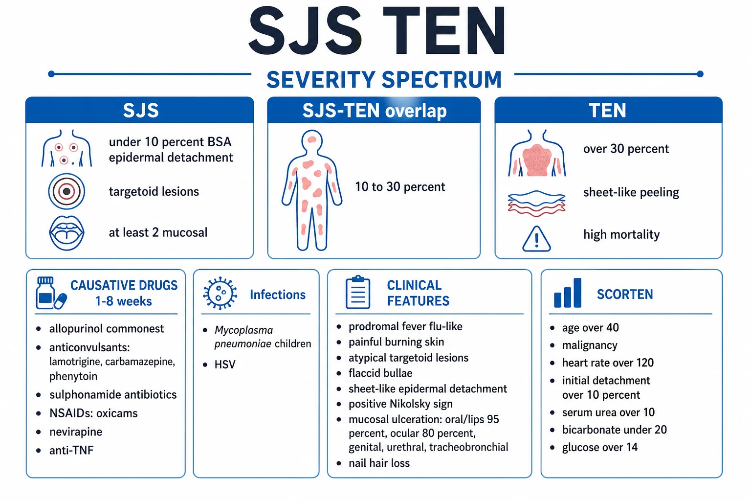 Clean management infographic: withdraw the causative drug, transfer to burns or ICU, modified fluid resuscitation, wound care with non-adherent dressings, early enteral nutrition, daily ophthalmology with amniotic membrane, mucosal care, and the controversial immunomodulators IVIG and ciclosporin