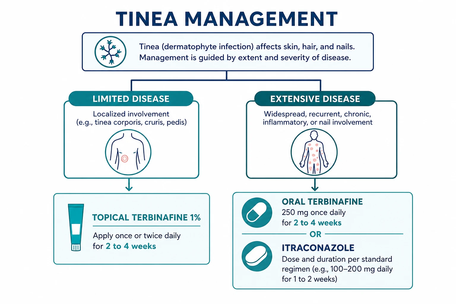 Topical and systemic antifungal therapy for tinea pedis, cruris and onychomycosis