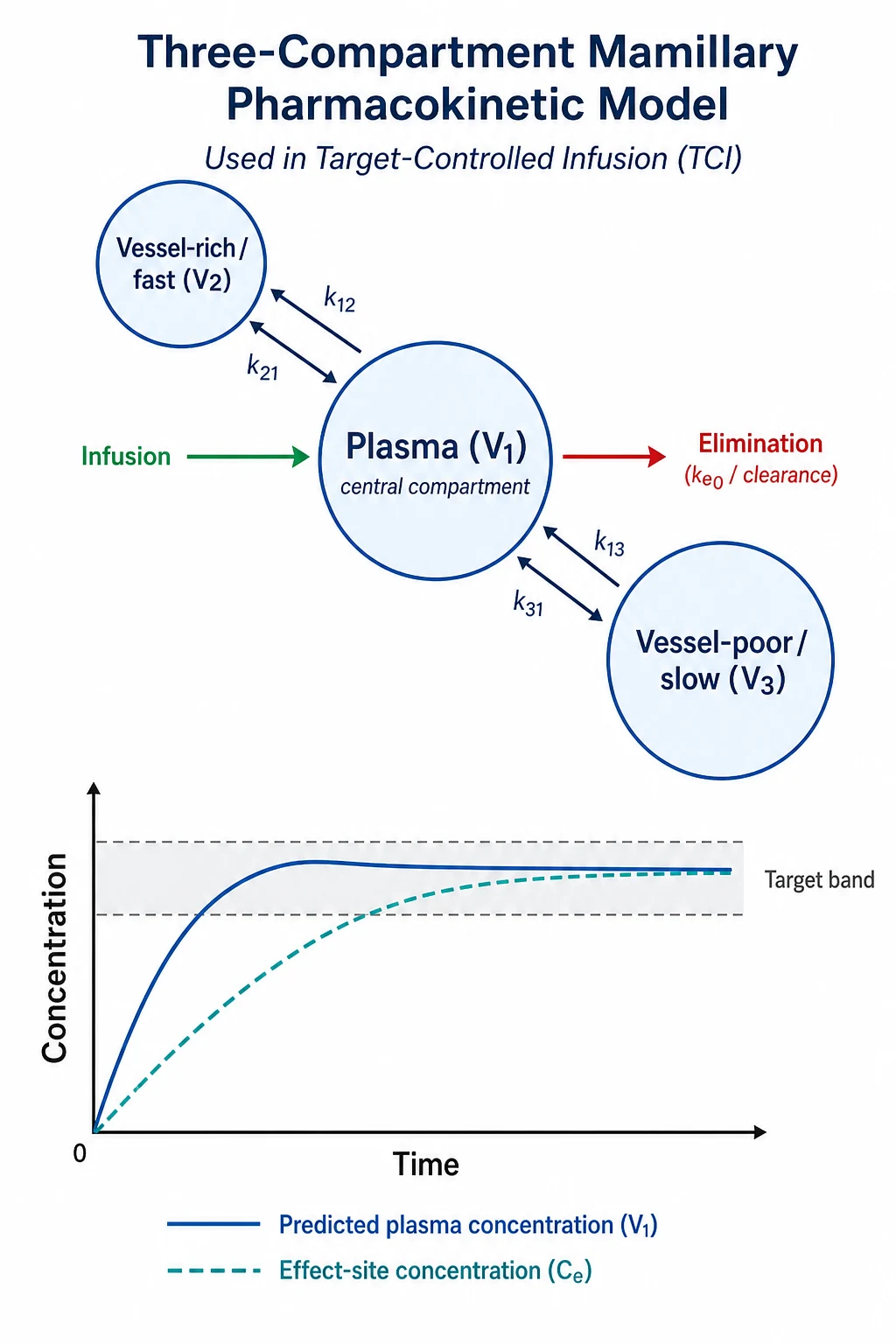 TIVA and target-controlled infusion: the compartment model
