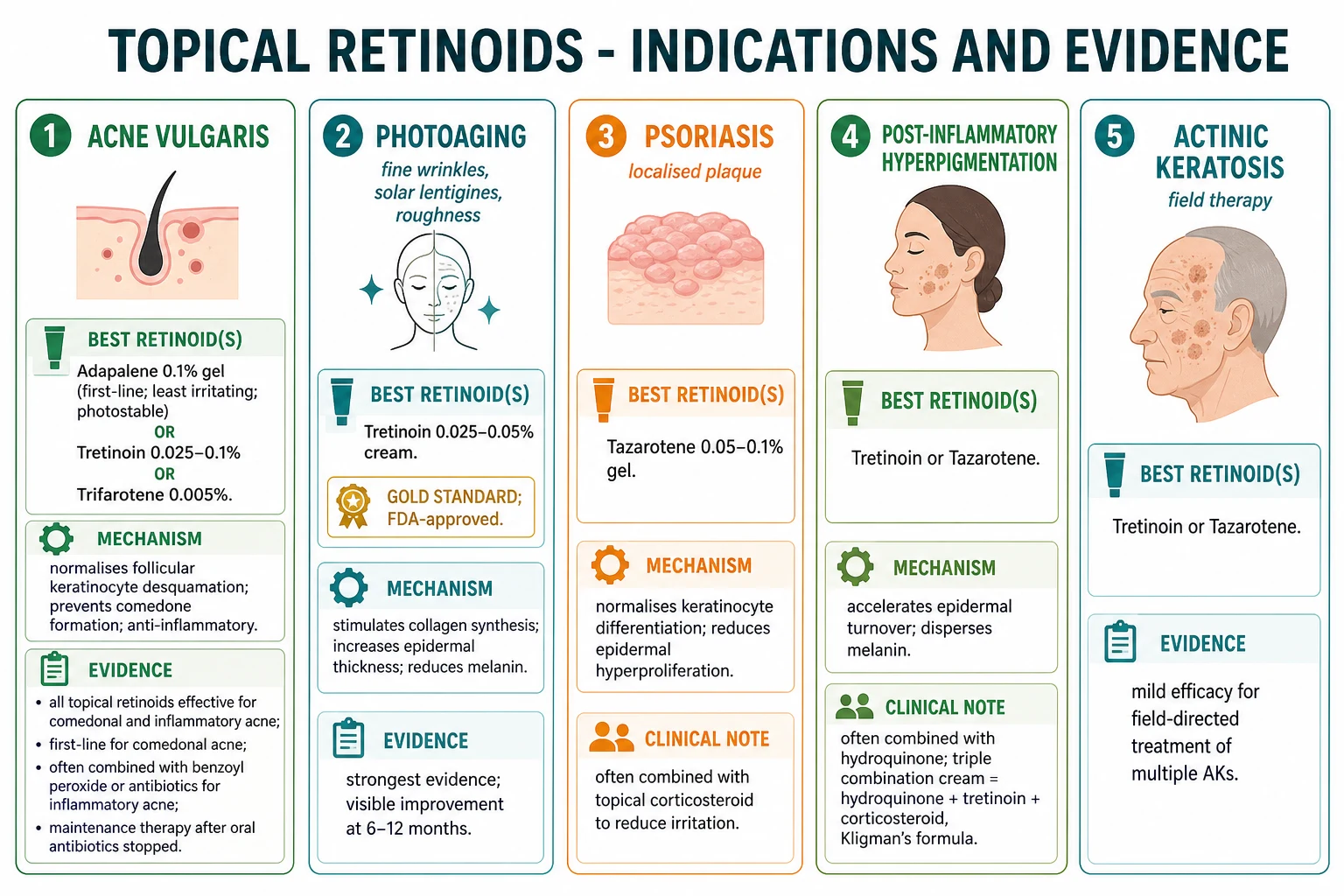 Indications grid showing acne (adapalene first-line; all retinoids comedonal + inflammatory), photoaging (tretinoin gold standard), psoriasis (tazarotene localised plaque), post-inflammatory hyperpigmentation and melasma (Kligman triple combination), actinic keratosis (field therapy combination)