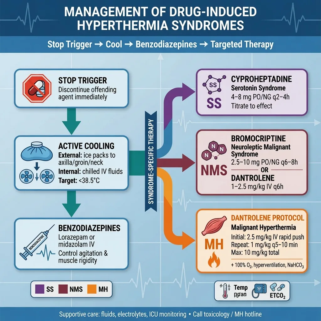 ICU management pathway for hyperthermic toxidromes: stop trigger, benzodiazepines, active cooling, syndrome-specific antidotes (cyproheptadine, dantrolene, bromocriptine, physostigmine), clinical-blue educational illustration