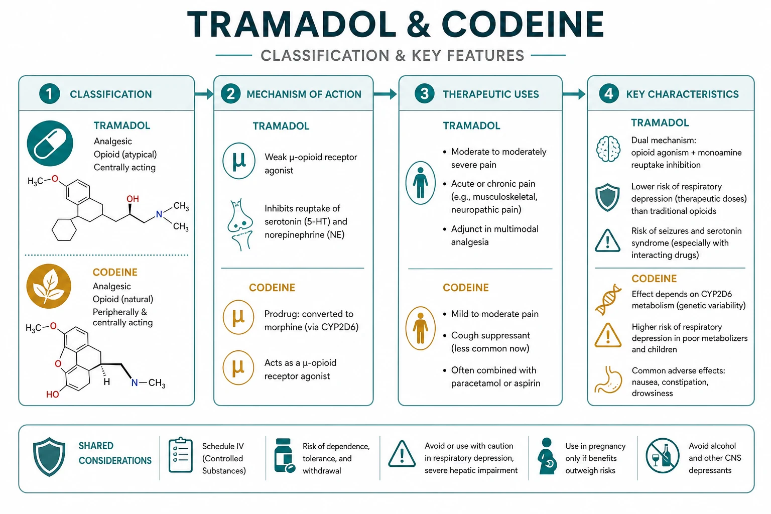 Safety traffic lights for tramadol and codeine