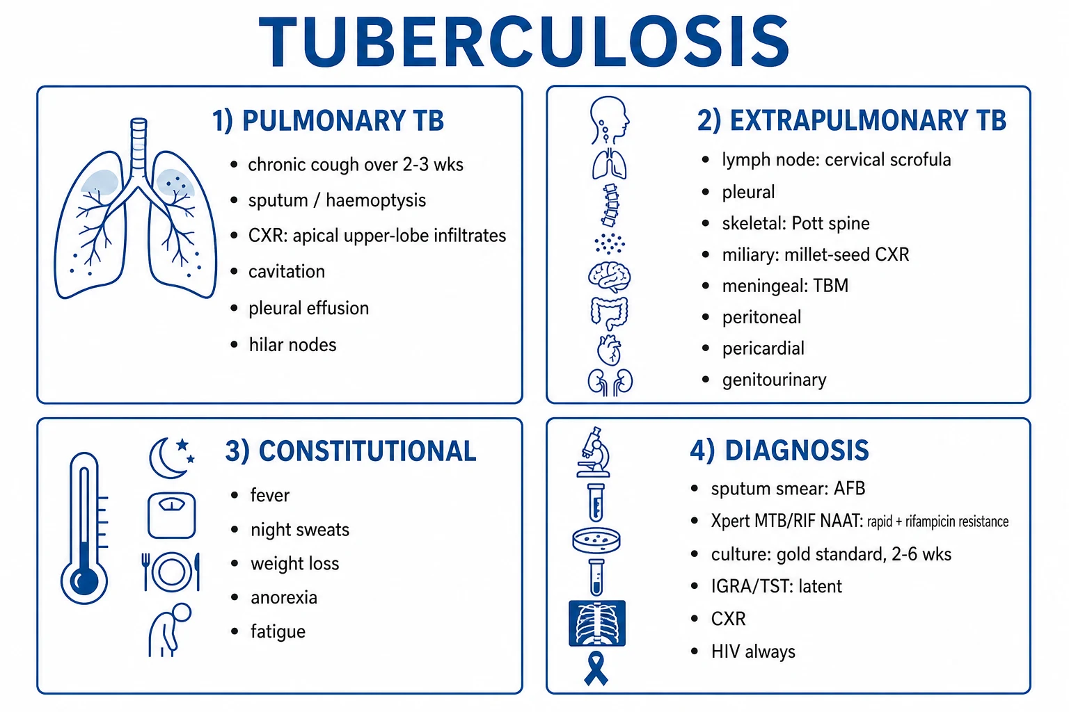 Tuberculosis management educational diagram
