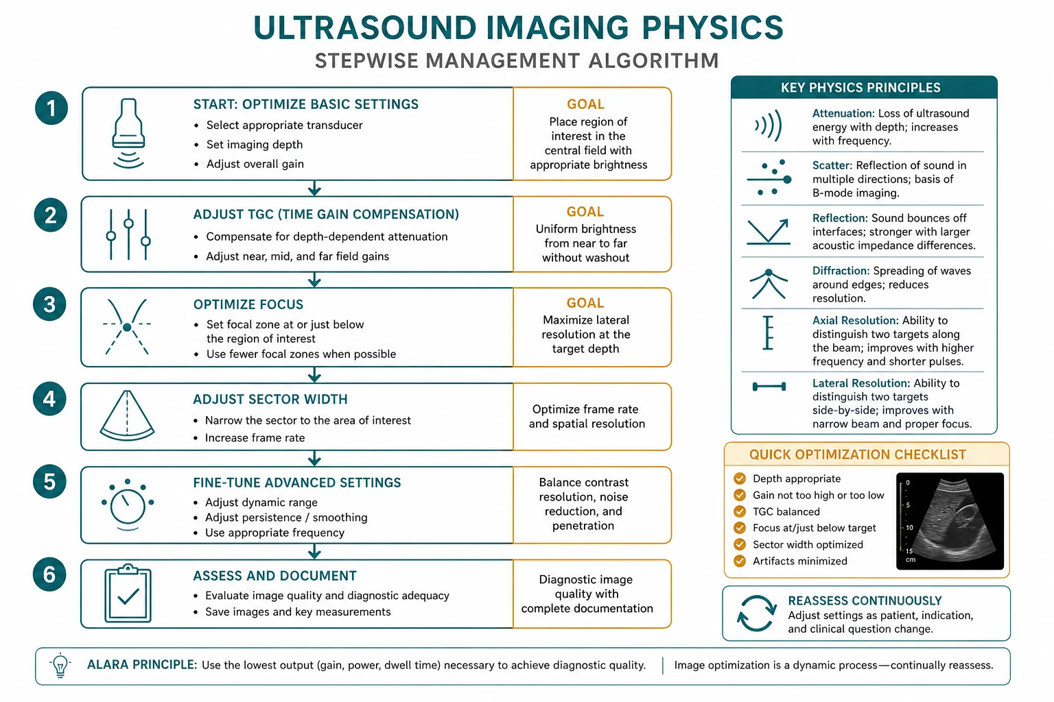 Ultrasound probe selection and clinical application map: linear high-frequency for vessels, curvilinear for abdomen, phased array for cardiac and lung windows — frequency versus penetration trade-off diagram