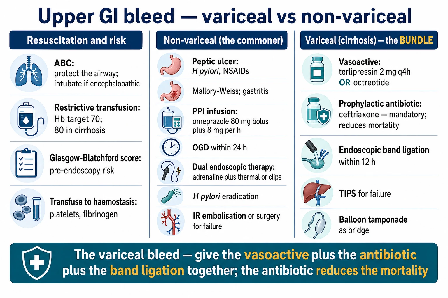 Pathophysiology and management diagram: upper GI bleed splits into variceal (cirrhosis, portal hypertension, varix rupture) and non-variceal (peptic ulcer with Forrest stigmata); arrows to the resuscitation bundle (airway, restrictive transfusion) and then the divergent bundles