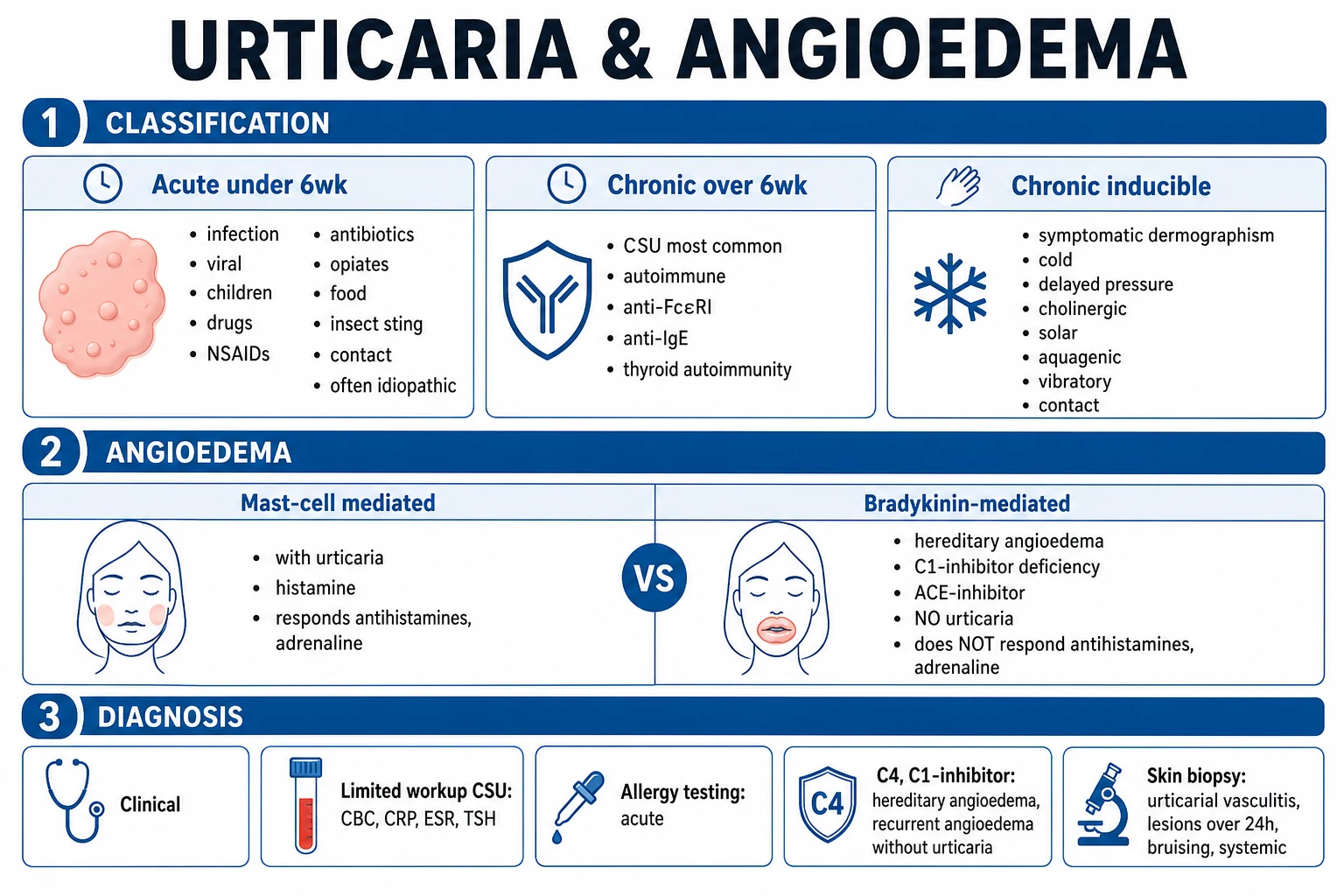 Classification infographic: acute vs chronic, spontaneous vs inducible, mast-cell-mediated vs bradykinin-mediated angioedema