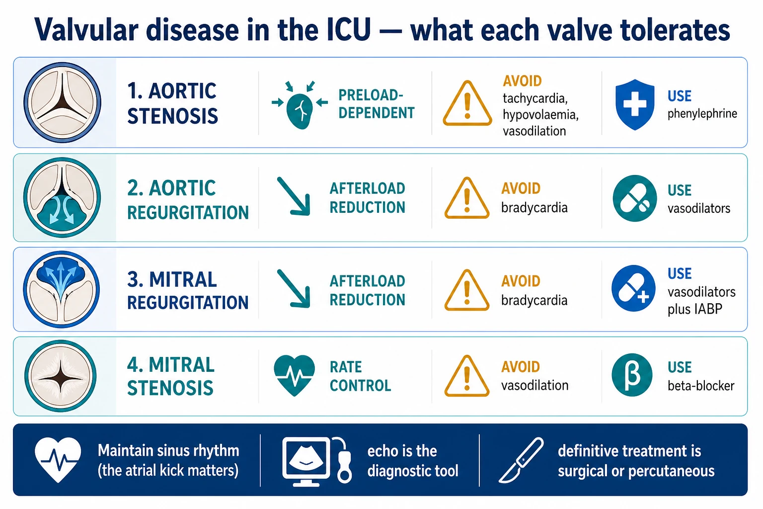 Four-row infographic on a white clinical-blue background: AORTIC STENOSIS (preload-dependent; avoid tachy/hypovolaemia/vasodilation; phenylephrine); AORTIC REGURGITATION (afterload reduction; avoid bradycardia; vasodilators); MITRAL REGURGITATION (afterload reduction; avoid bradycardia; vasodilators plus IABP); MITRAL STENOSIS (rate control; avoid vasodilation; beta-blocker); banner 'Maintain sinus rhythm; echo is the diagnostic tool; definitive treatment is surgical or percutaneous'. Flat vector illustration, crisp typography.