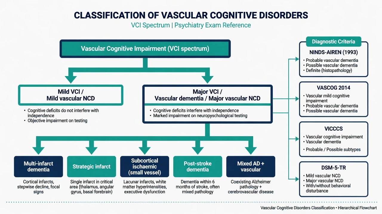 Hierarchical classification of vascular cognitive impairment spectrum into mild and major vascular NCD with multi-infarct, strategic infarct, subcortical ischaemic, post-stroke, and mixed phenotypes plus NINDS-AIREN, VASCOG, VICCCS, and DSM-5-TR criteria anchors