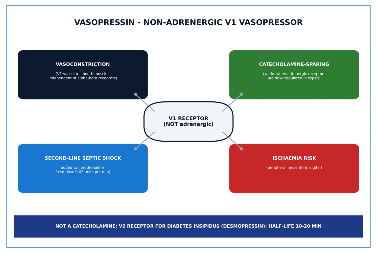 Vasopressin receptor map