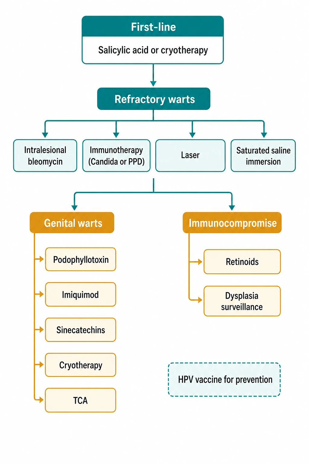 Treatment algorithm flowchart from first-line salicylic acid and cryotherapy to second-line immunotherapy and intralesional agents to refractory and genital wart management