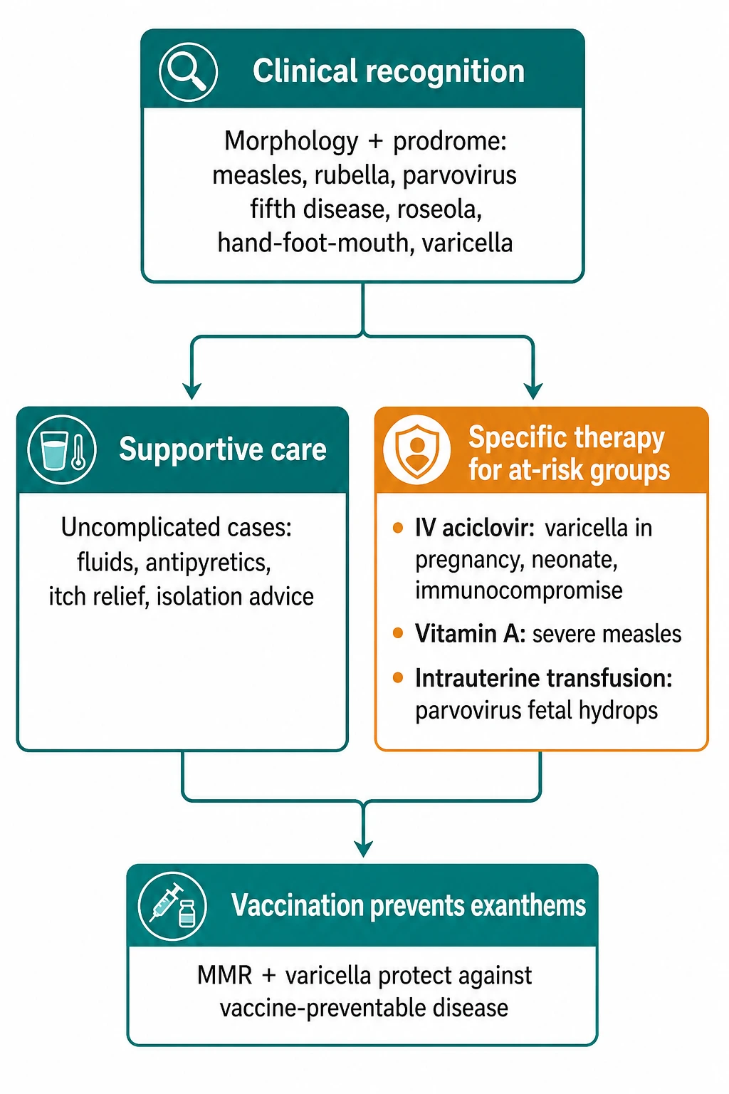 Flowchart of viral exanthem management from clinical recognition through supportive care to specific therapy for at-risk groups, including vitamin A for severe measles, IV aciclovir for high-risk varicella, intrauterine transfusion for parvovirus fetal hydrops, IVIG for parvovirus chronic anaemia in immunocompromise, and vaccination for prevention