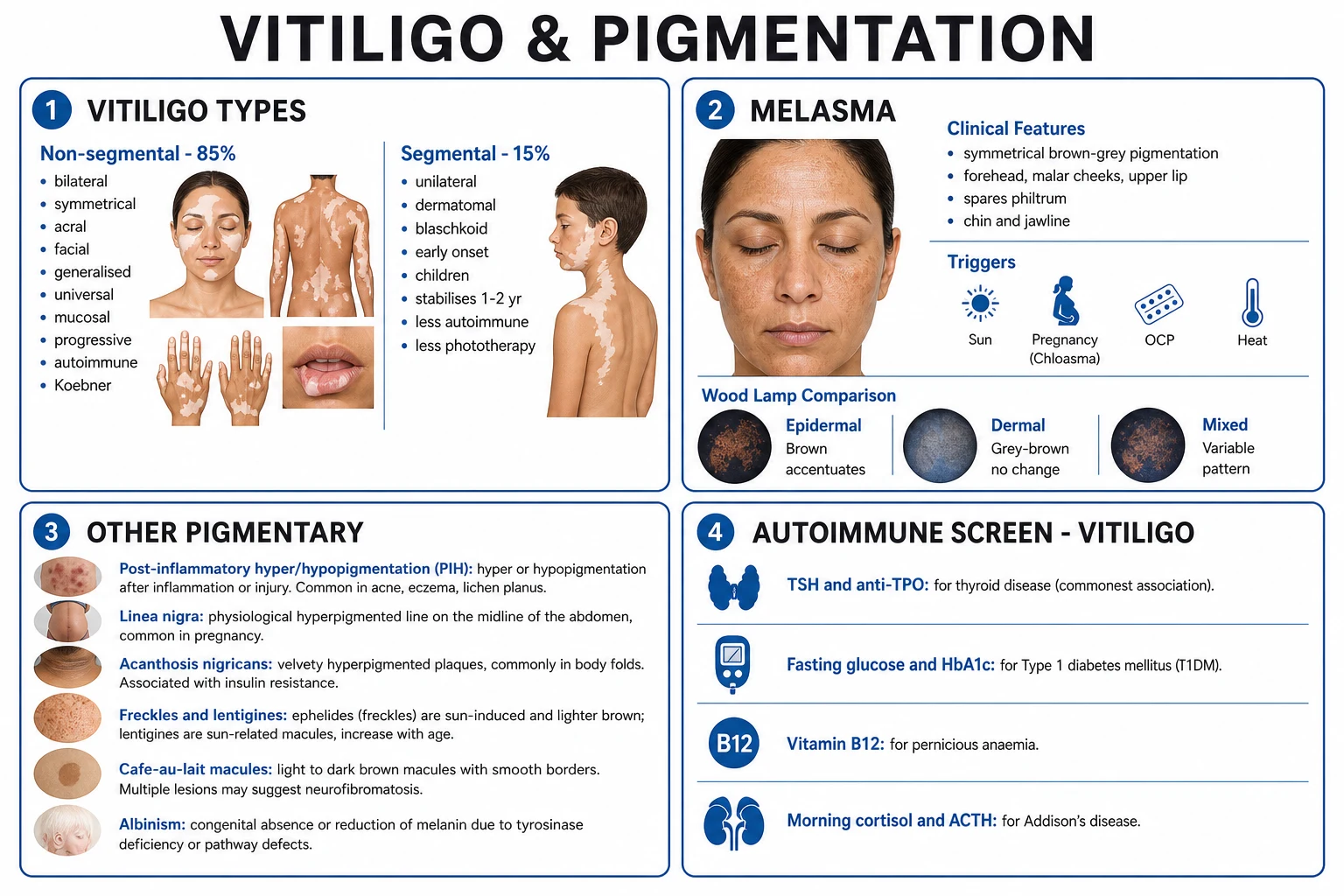 Clean infographic comparing vitiligo types (segmental vs non-segmental), melasma distribution, post-inflammatory pigmentation, albinism and drug-induced pigmentation, with a differential and autoimmune screening panel