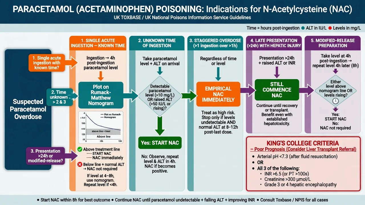 Five-pathway decision algorithm for starting N-acetylcysteine in paracetamol poisoning including King's College criteria