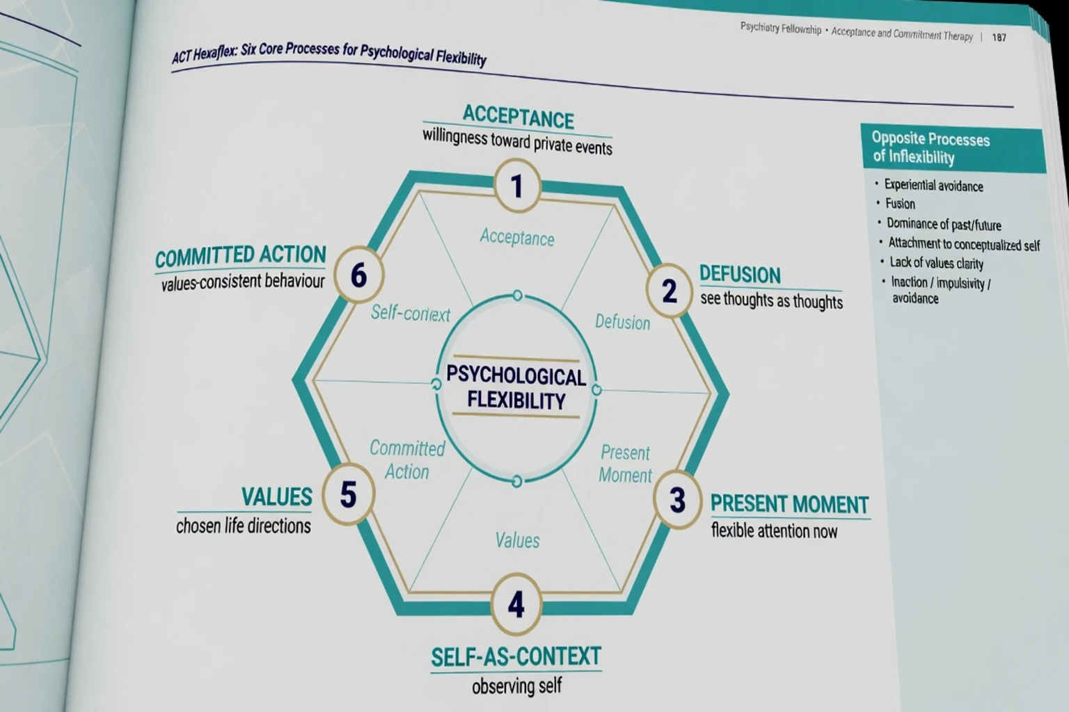 ACT hexaflex diagram with six core processes surrounding psychological flexibility