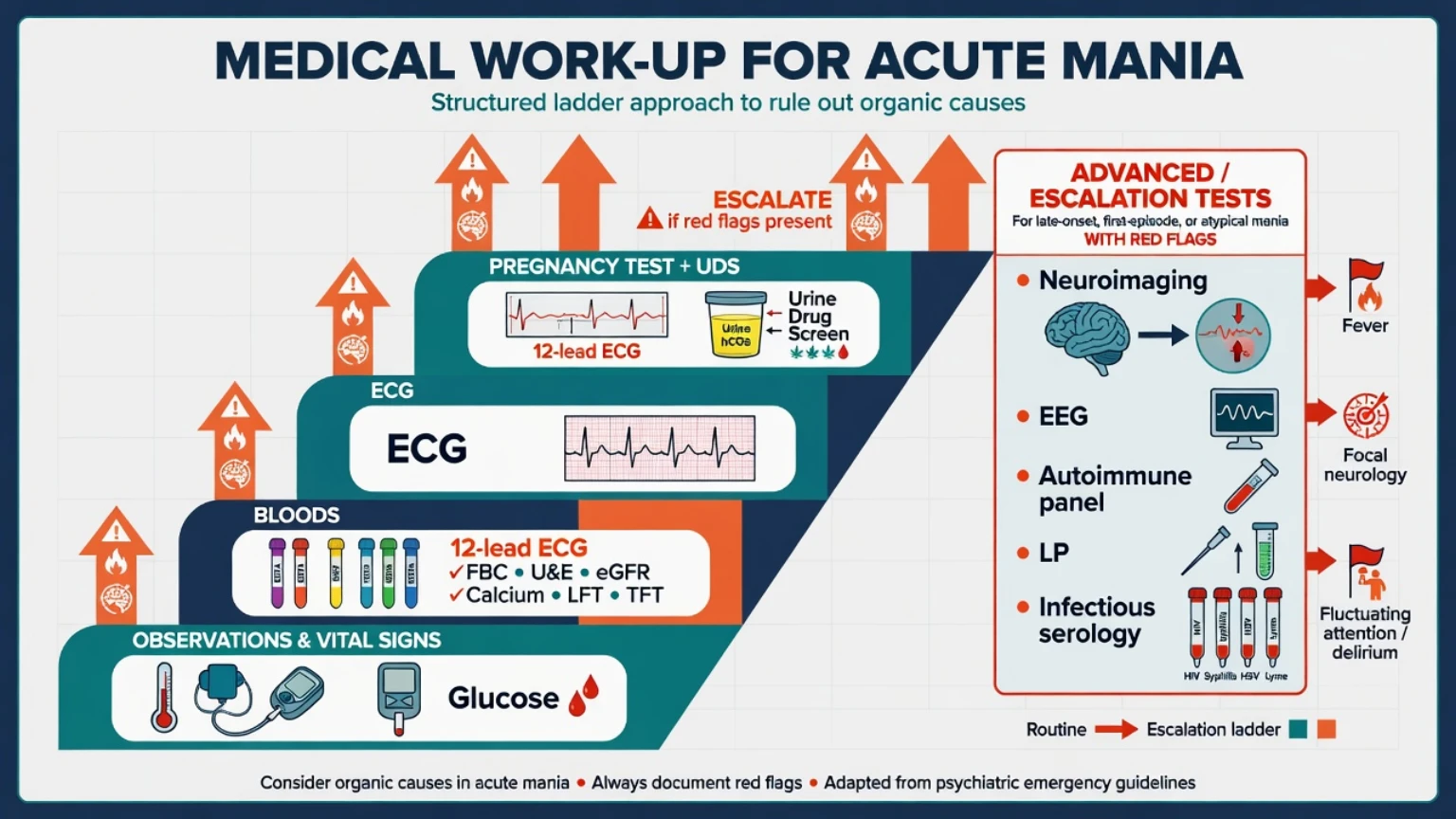 Investigation ladder from baseline bloods and ECG to advanced organic work-up for atypical mania