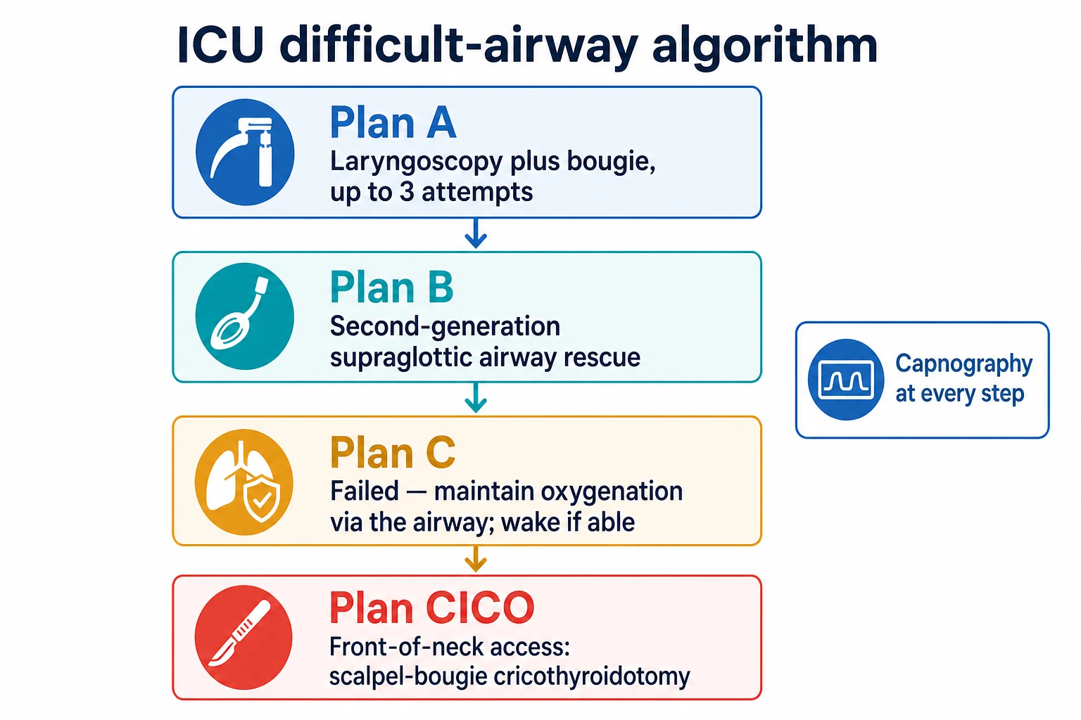 Four-box top-to-bottom flowchart on a white clinical-blue background: Plan A laryngoscopy plus bougie up to 3 attempts (blue), Plan B second-generation supraglottic airway rescue (teal), Plan C failed — maintain oxygenation via the airway and wake if able (amber), Plan CICO front-of-neck access scalpel-bougie cricothyroidotomy (red), with a side note 'capnography at every step'. Flat vector illustration, crisp typography.