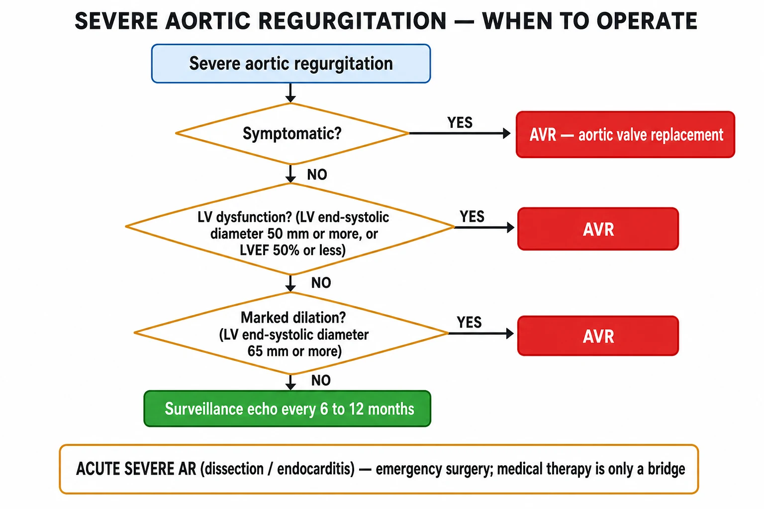 Clean management flowchart: symptomatic severe AR, asymptomatic with EF under 50 or LVESD over 50, and surveillance intervals