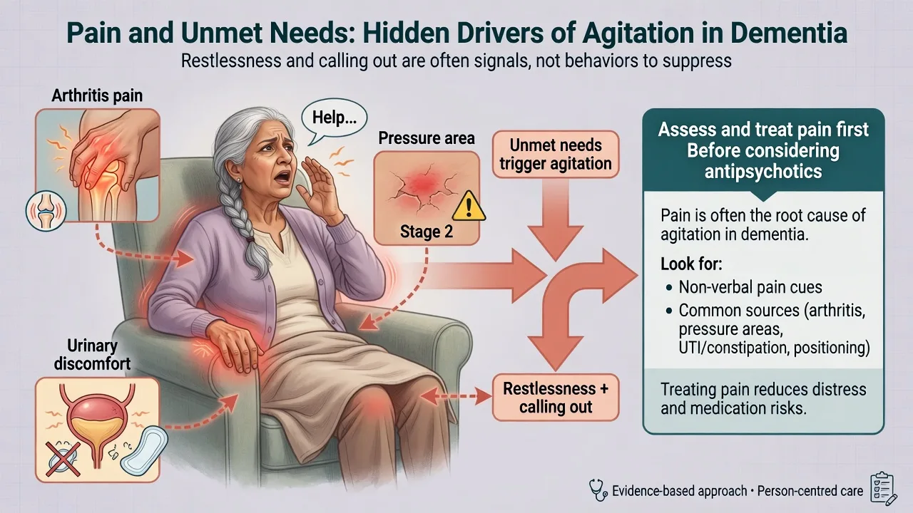 Pain and unmet needs as hidden drivers of agitation in dementia