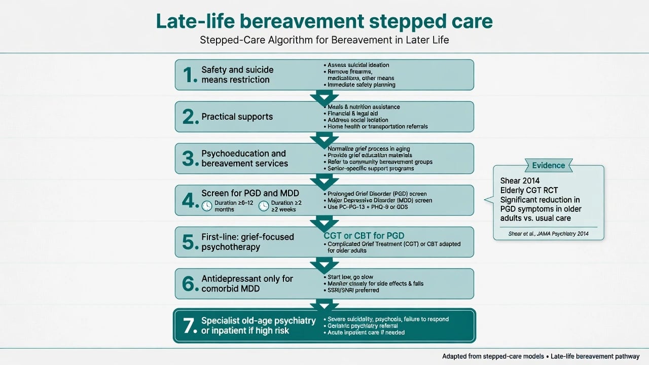 Stepped care algorithm for late-life bereavement from safety through practical supports, psychoeducation, PGD screening, grief-focused psychotherapy, selective antidepressant use, and specialist escalation