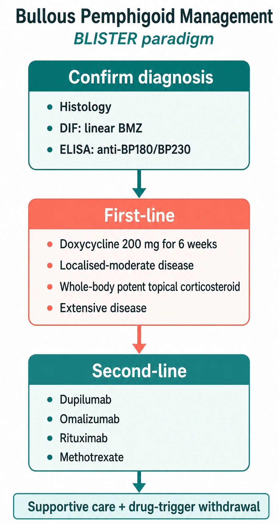 BP management algorithm: confirm with DIF linear BMZ + IIF salt-split epidermal side; first-line potent topical clobetasol + doxycycline ± nicotinamide; severe add prednisolone; refractory rituximab/omalizumab/dupilumab