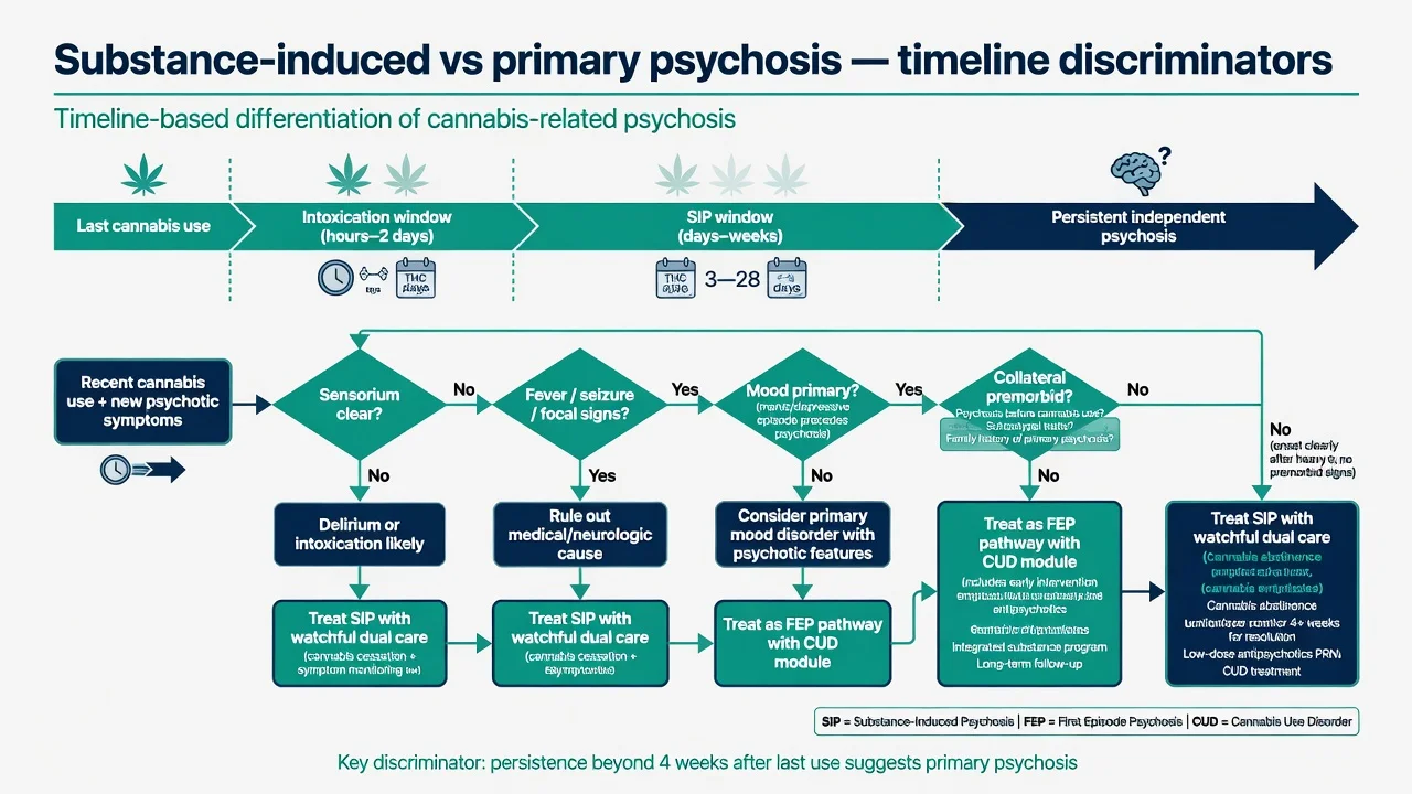 Timeline algorithm distinguishing intoxication, substance-induced psychosis and primary psychosis
