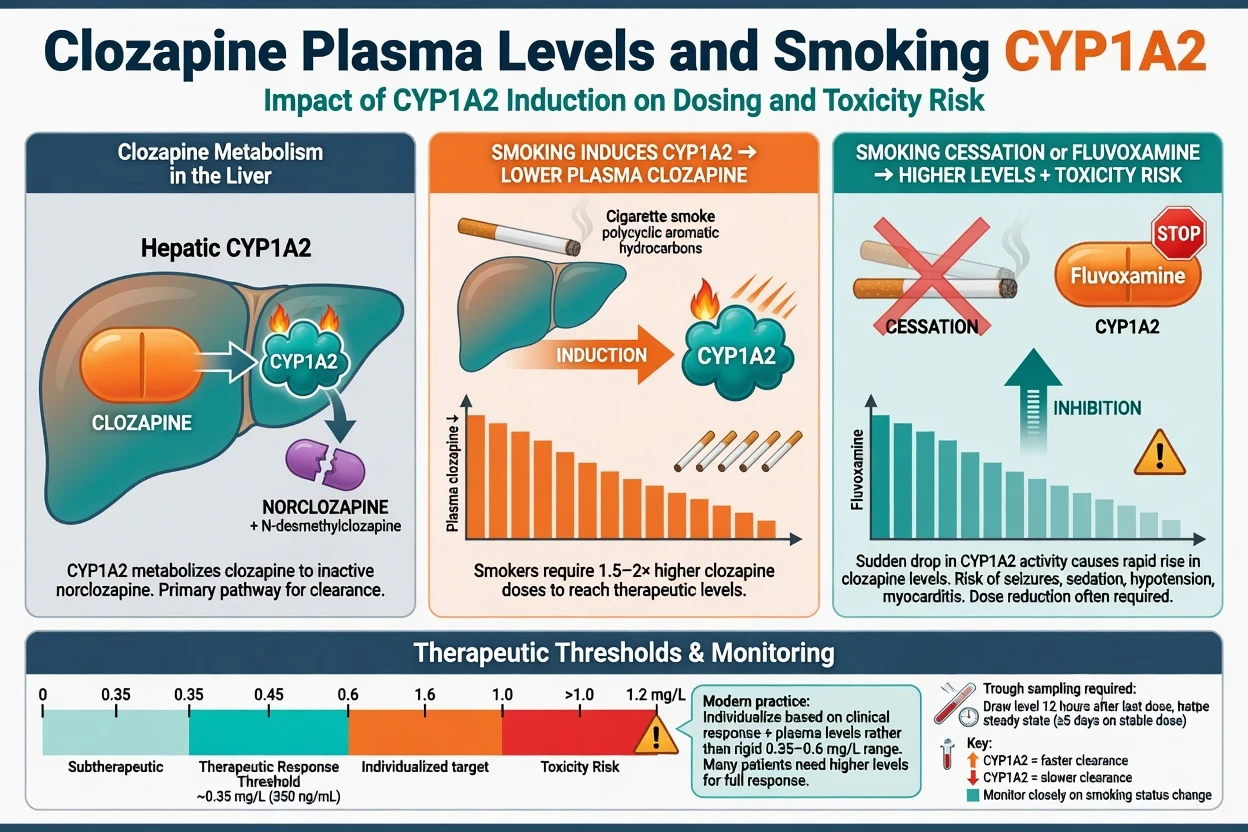 Clozapine CYP1A2 metabolism smoking induction and therapeutic plasma level concepts