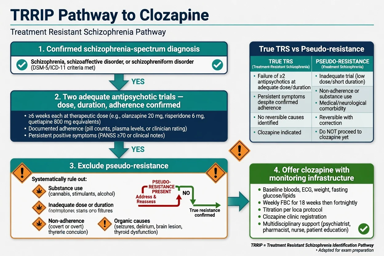 TRRIP pathway flowchart from diagnosis through two adequate trials to clozapine offer