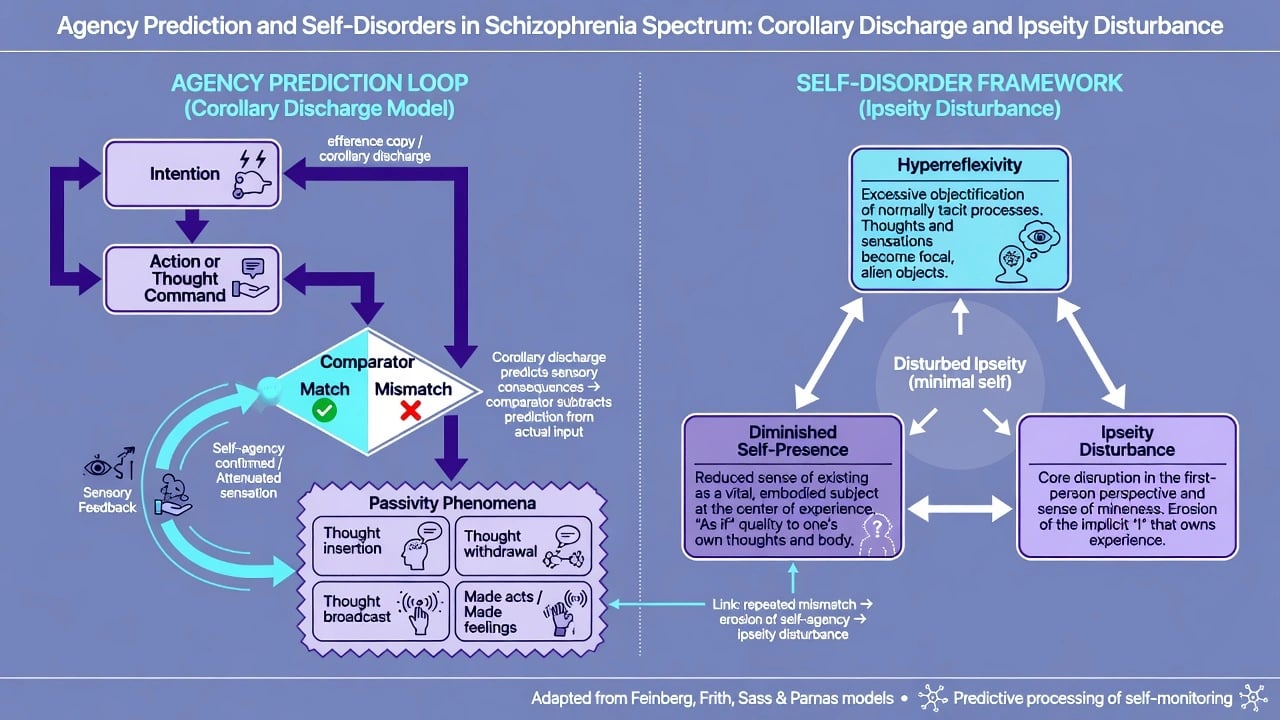 Two-panel educational diagram of agency prediction loop with corollary discharge match versus mismatch leading to passivity phenomena, alongside self-disorder framework with ipseity disturbance hyperreflexivity and diminished self-presence