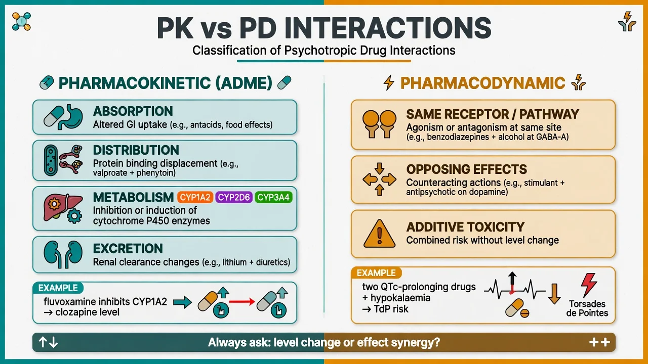 Two-column comparison of pharmacokinetic ADME interactions versus pharmacodynamic effect synergy with psychotropic examples