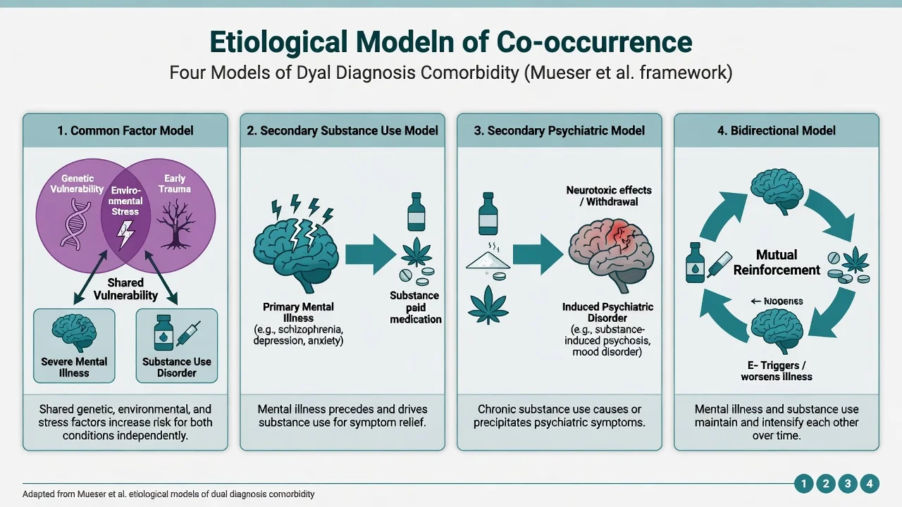 Four etiological models of dual diagnosis comorbidity