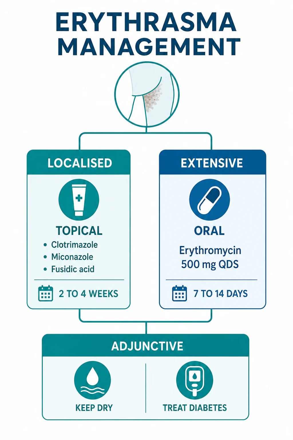 Stepwise management algorithm for erythrasma: topical therapy for localised disease, oral macrolides for extensive disease, and adjunctive preventive measures