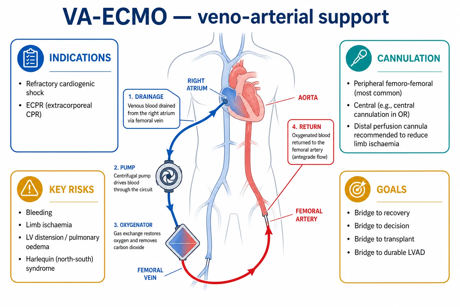 Educational diagram of ECCO2R physiology: low blood flow through a membrane lung, sweep gas removing CO2, limited O2 transfer compared with high-flow VV-ECMO