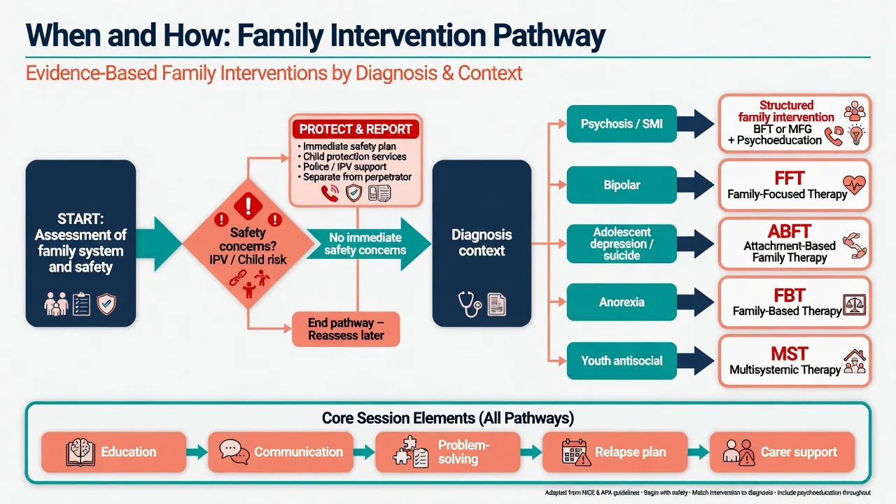 Algorithm from family safety assessment to diagnosis-matched family interventions