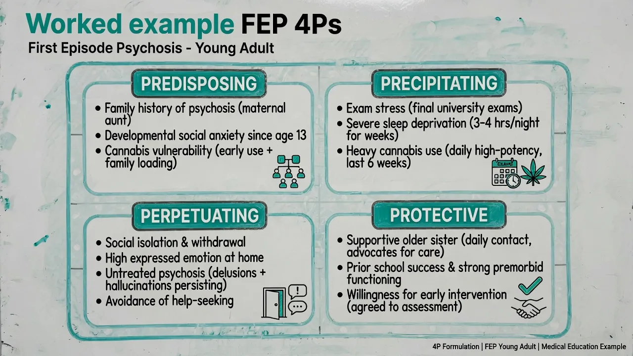 Worked example board of 4P factors for first episode psychosis
