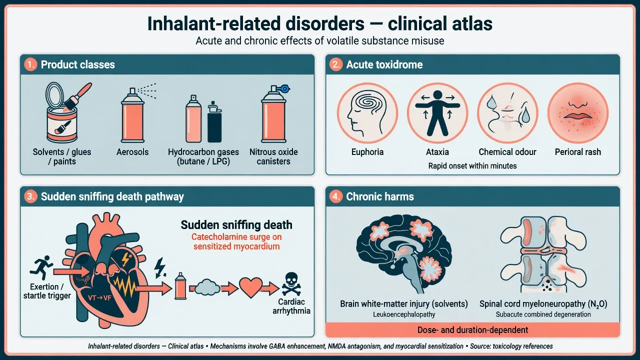 Overview atlas of inhalant product classes, acute toxidrome, sudden sniffing death and chronic harms