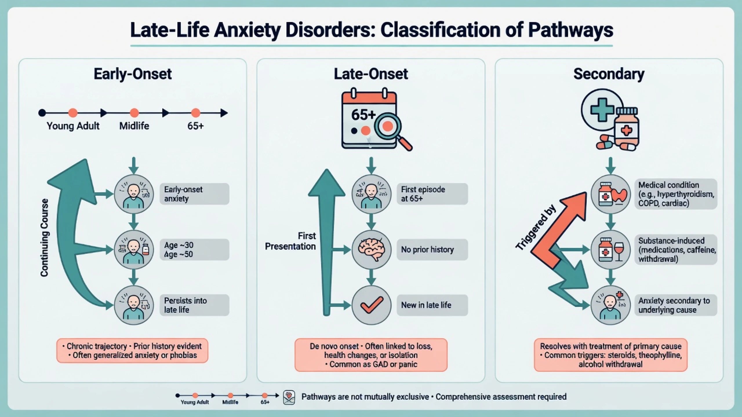 Classification of late-life anxiety: early-onset continuing into old age, late-onset first presentation, and secondary medical or substance-induced anxiety
