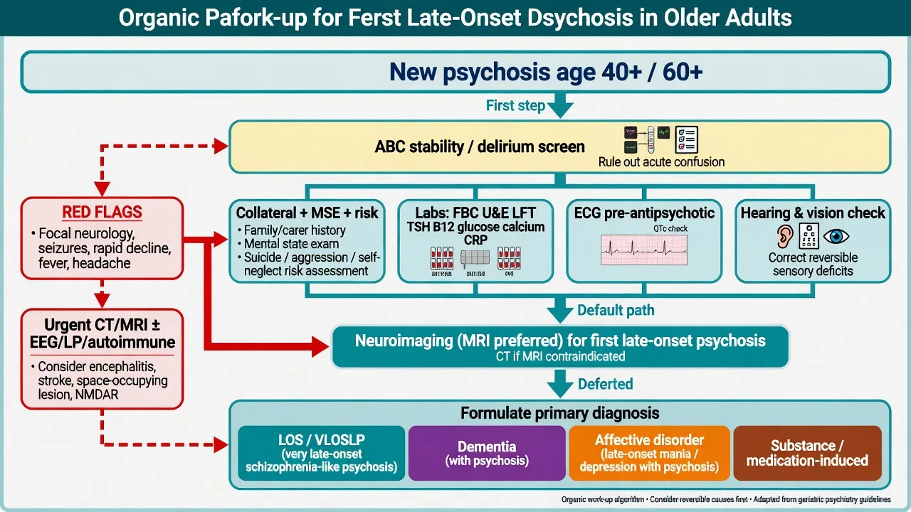 Clinical algorithm flowchart for organic work-up of first late-onset psychosis