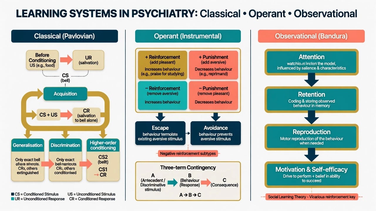 Classification diagram of classical operant and observational learning with reinforcement and punishment matrix