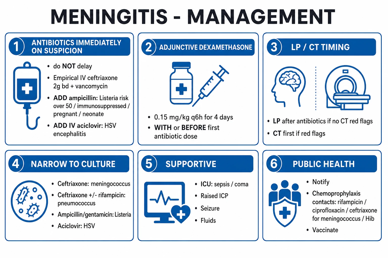 Clean management infographic: empirical antibiotics by age and risk plus dexamethasone, with escalation triggers and directed therapy durations