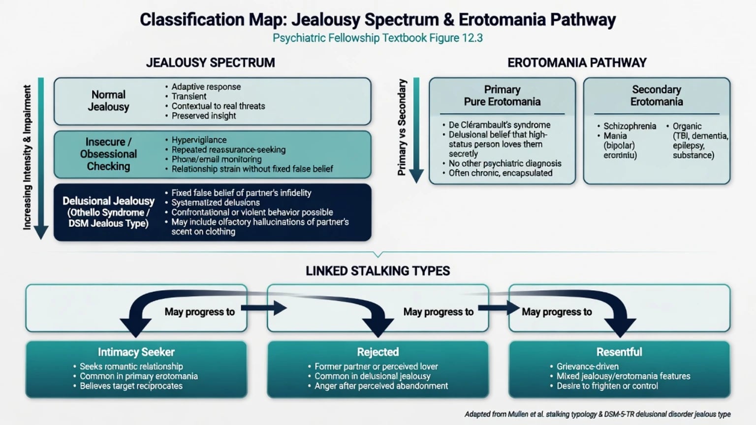 Classification map of jealousy spectrum from normal to delusional jealousy and erotomania primary versus secondary pathways linked to stalking types