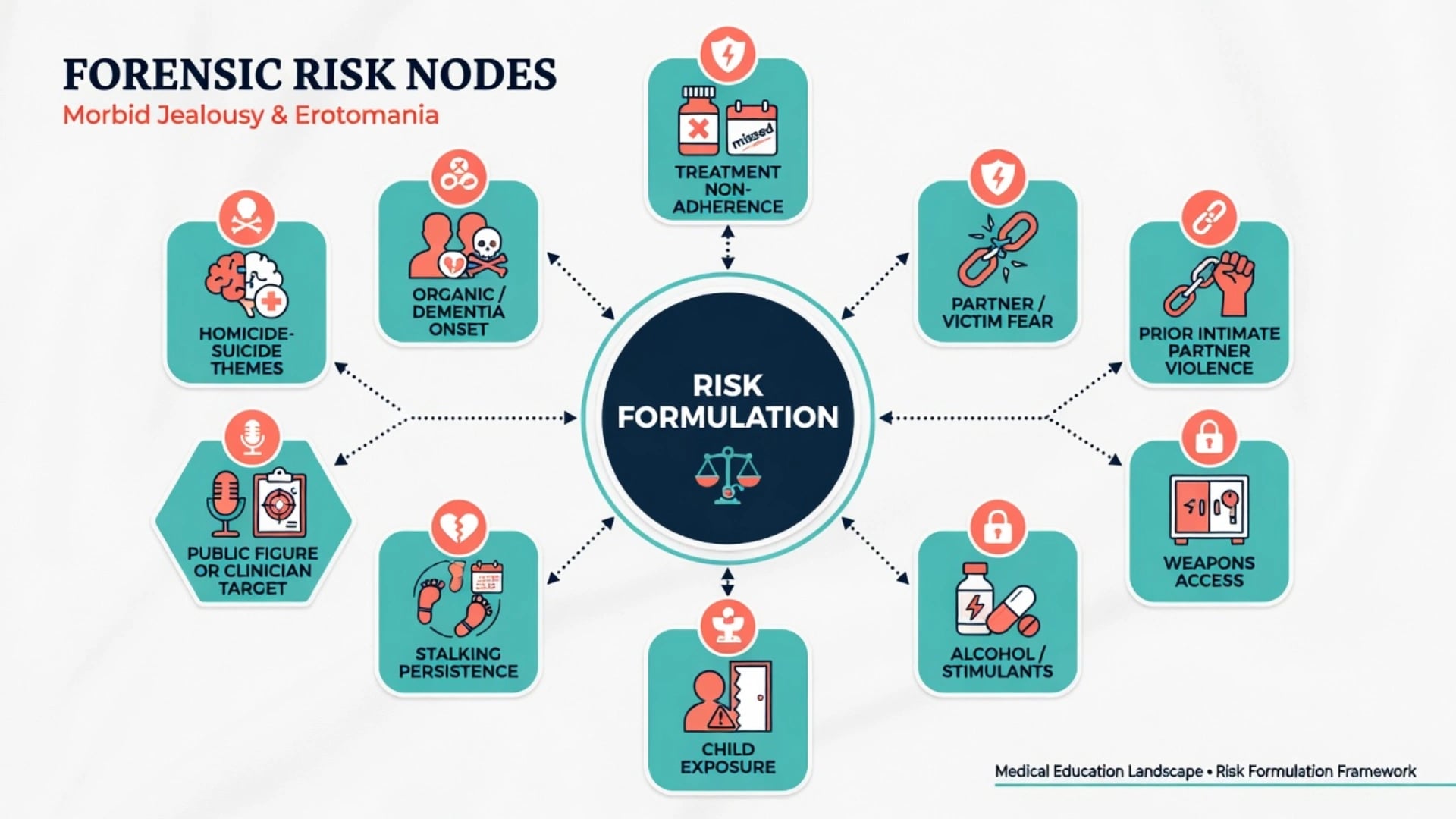 Risk formulation hub with nodes for partner fear, prior IPV, weapons, substances, children, stalking persistence, clinician or public figure target, and homicide-suicide themes