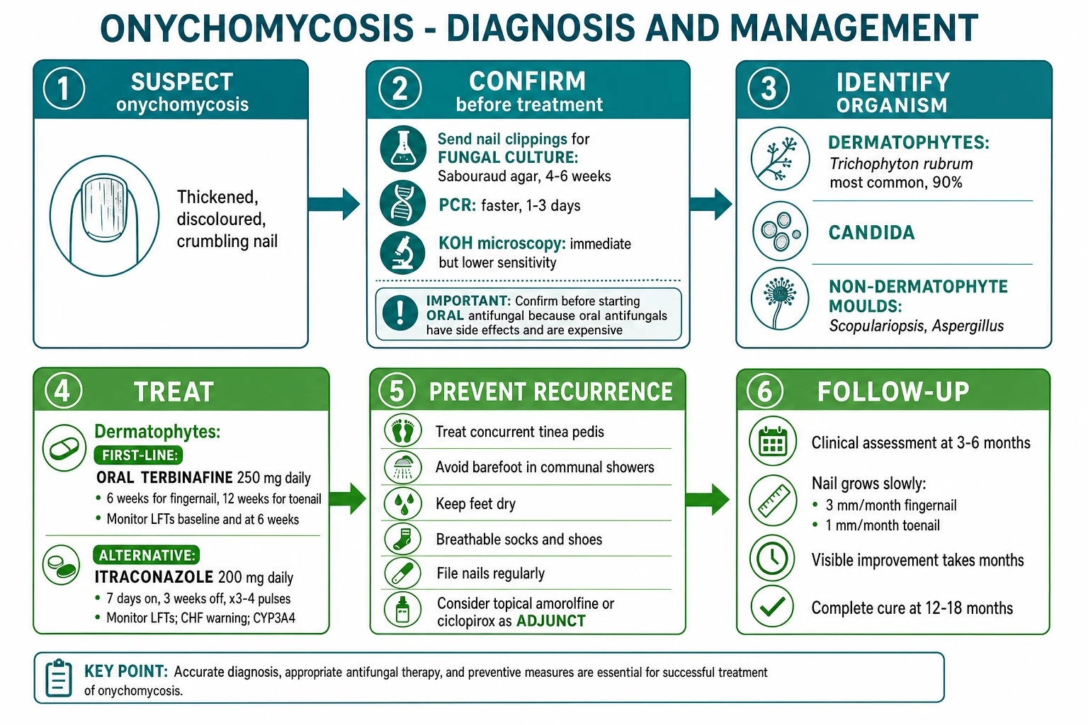 Flowchart: suspect onychomycosis → CONFIRM with fungal culture/PCR/KOH → identify organism → terbinafine first-line for dermatophytes (6wk finger/12wk toe; monitor LFTs) → prevent recurrence → follow-up at 3-6 months (nail grows slowly)