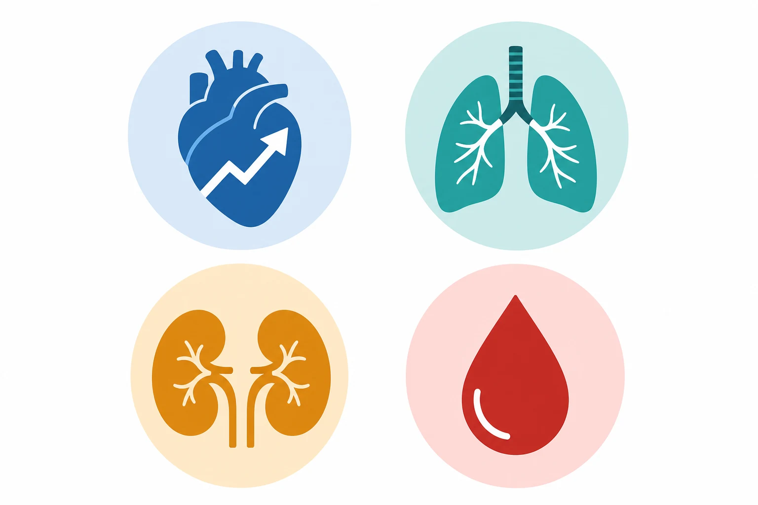 Four flat-icon tiles in a 2x2 grid: a heart-with-upward-arrow, a pair-of-lungs, a kidney, and a blood-drop, each in a muted colour, on a white clinical-blue background