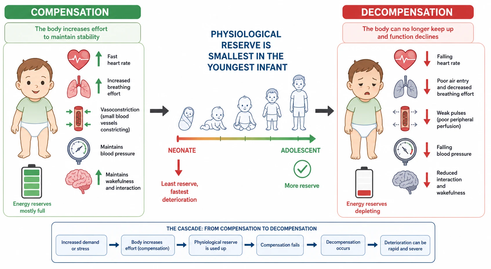 Reviewed educational schematic showing age-dependent compensation on the left (fast heart rate, increased breathing effort and vasoconstriction preserving blood pressure and wakefulness) progressing to decompensation on the right (falling effort, poor air entry, weak pulses, reduced interaction and falling blood pressure), with an age slider from neonate to adolescent