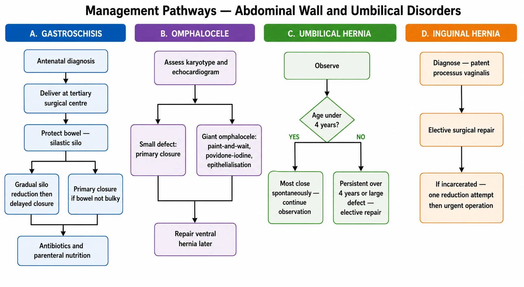 Four-pathway management flowchart. Pathway A gastroschisis shows delivery at a tertiary centre, bowel protection in a silo, gradual reduction then closure or primary closure, with antibiotics and parenteral nutrition. Pathway B omphalocele shows assessment of chromosomal and cardiac anomalies, small defect primary closure, and giant omphalocele conservative paint-and-wait epithelialisation. Pathway C umbilical hernia shows observe under four years of age as most close spontaneously, with repair if persistent over four years or for a large fascial defect. Pathway D inguinal hernia shows elective surgical repair to prevent incarceration, with urgent operation if incarcerated after attempted manual reduction.