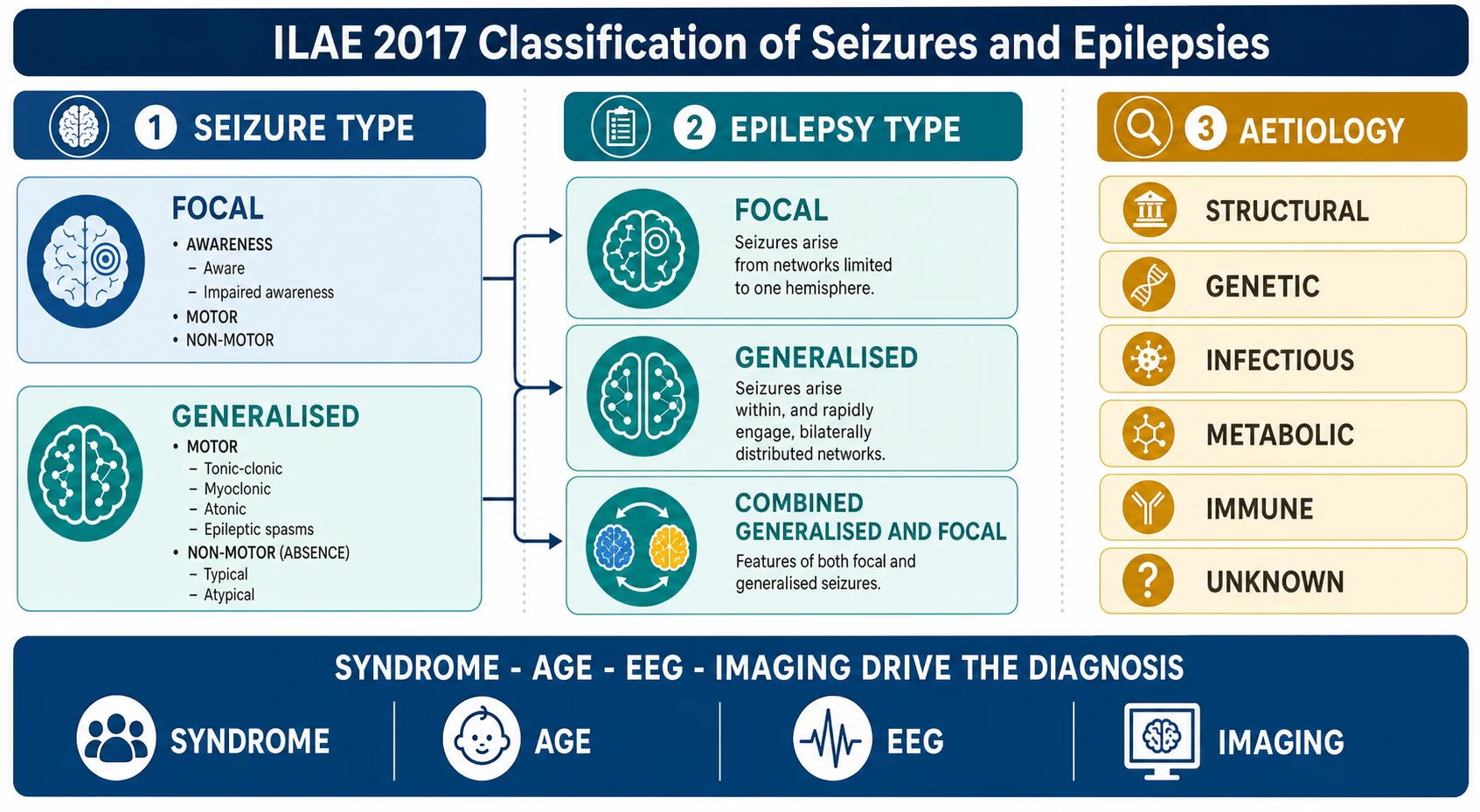 Three-column ILAE 2017 classification map. Column one shows seizure type split into focal, with awareness motor and non-motor, and generalised, with motor subtypes tonic-clonic myoclonic atonic epileptic spasms and non-motor absence typical and atypical. Column two shows epilepsy type as focal, generalised, or combined generalised and focal. Column three lists the six aetiology categories as chips: structural, genetic, infectious, metabolic, immune, unknown. A footer banner reads syndrome, age, EEG, and imaging drive the diagnosis.