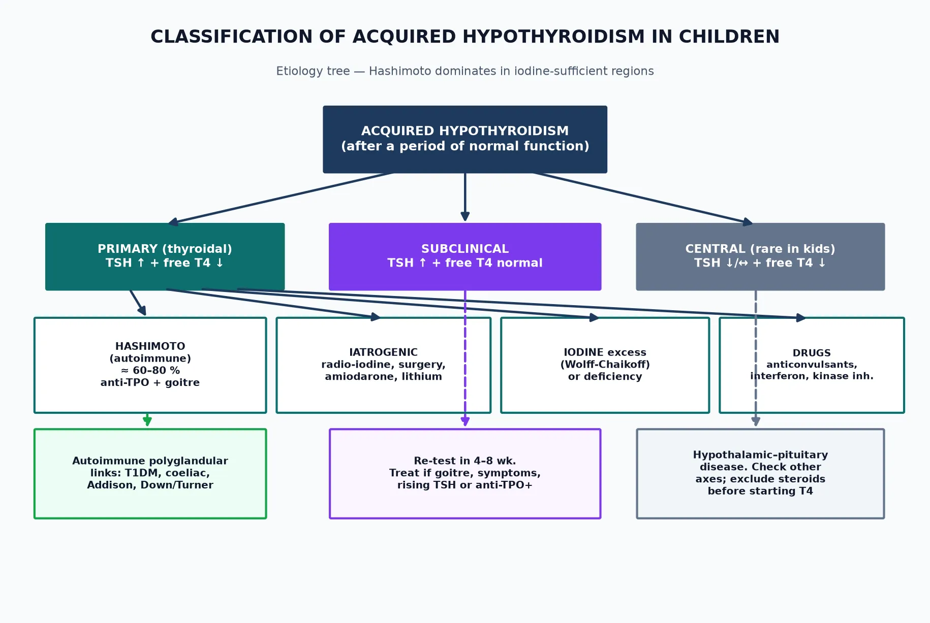 Classification infographic: etiology tree of acquired hypothyroidism showing primary (Hashimoto 60-80%, iatrogenic, iodine, drugs), subclinical, and central branches